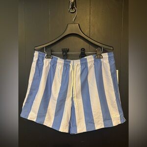 PacSun Blue and White Striped Swim Shorts